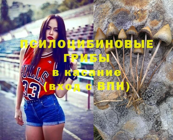 гашик Алексеевка