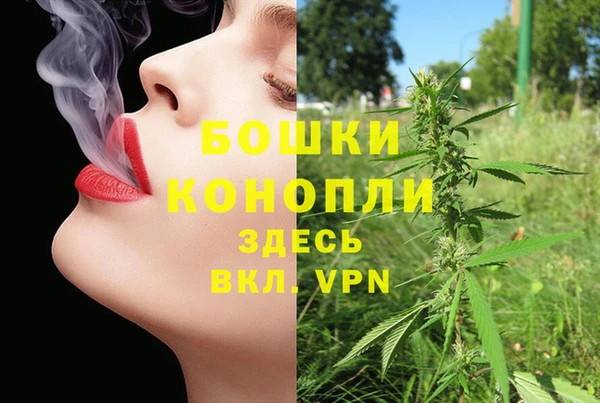 гашик Алексеевка