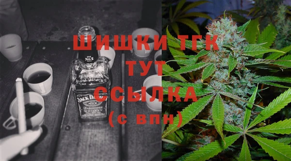 дмт Алзамай