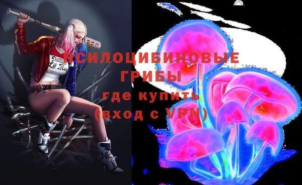 дмт Алзамай