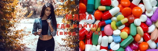 гашик Алексеевка