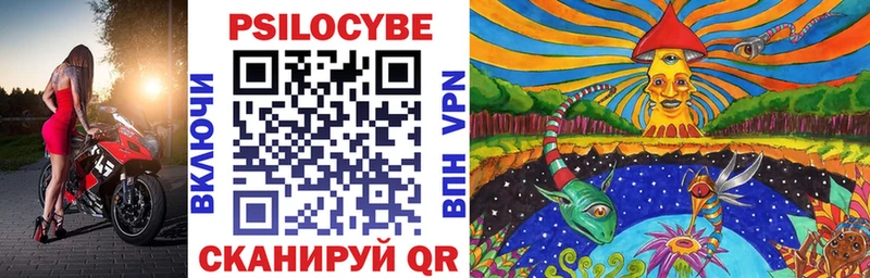 мега ссылки  цены наркотик  Полевской  Псилоцибиновые грибы Psilocybe 