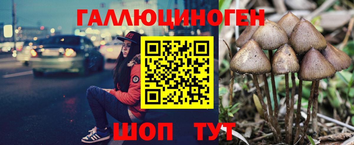 Псилоцибиновые грибы мухоморы Полевской