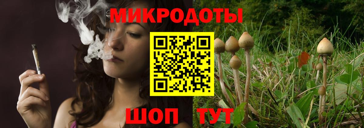Галлюциногенные грибы прущие грибы  Псилоцибиновые грибы Psilocybine cubensis  хочу наркоту  Вход с VPN  Полевской 